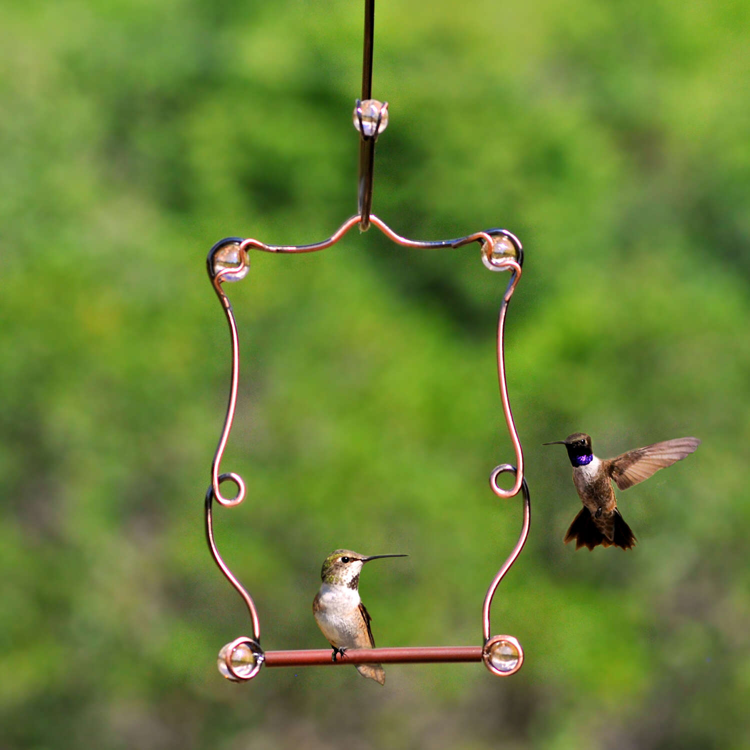 Perky-Pet 7.25 in. H X 5 in. W Hummingbird Swing