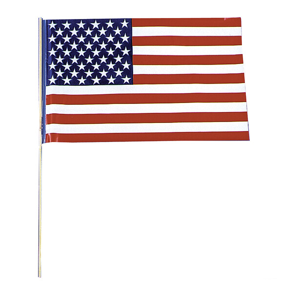 Morris Costumes SA02US Plastic Flag