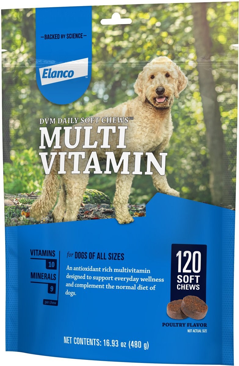 DVM Daily Soft Chews Multi Vitamin for Dogs