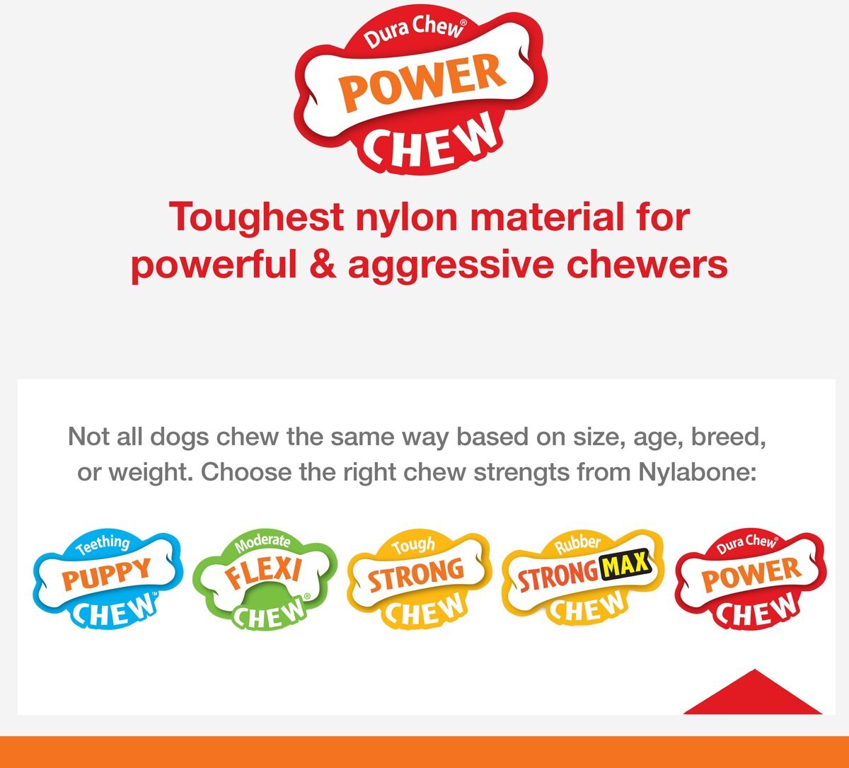 Nylabone Power Chew Basted Blast Flavored Dog Chew Toy