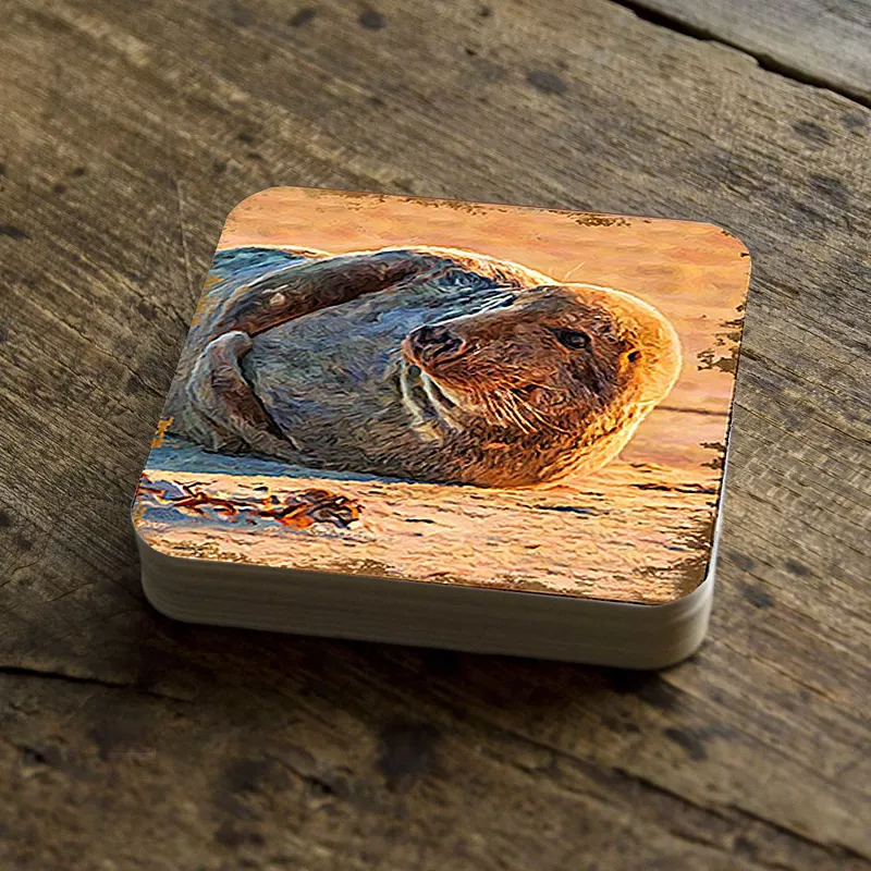 Seal Coastal Wooden Cork Coasters Gift Set of 4 by Nature Wonders