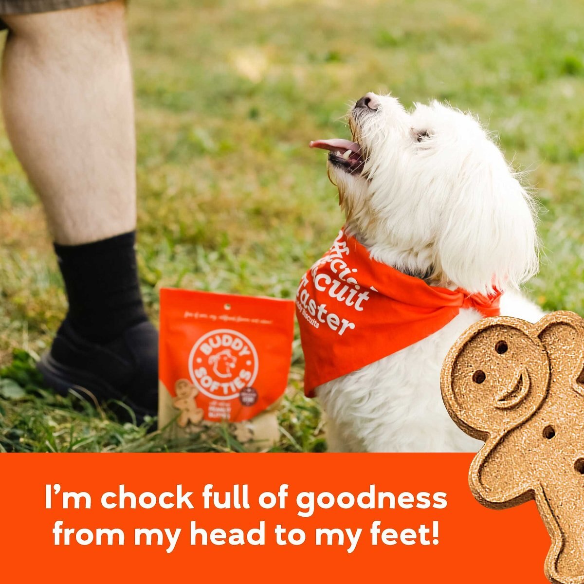 Buddy Biscuits Grain-Free Soft and Chewy with Peanut Butter Dog Treats