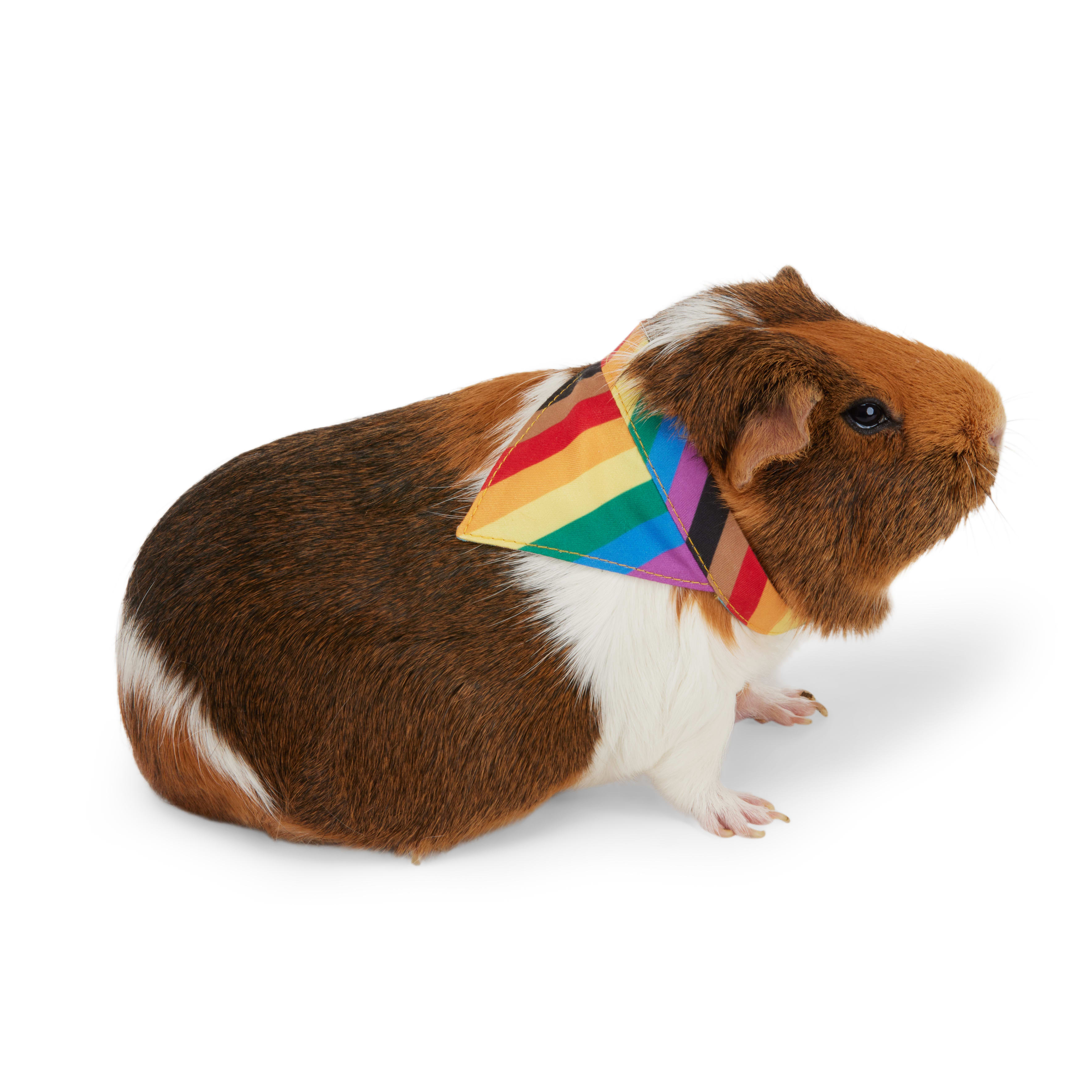 YOULY Pride Bandana for Small Animal， Small/Medium