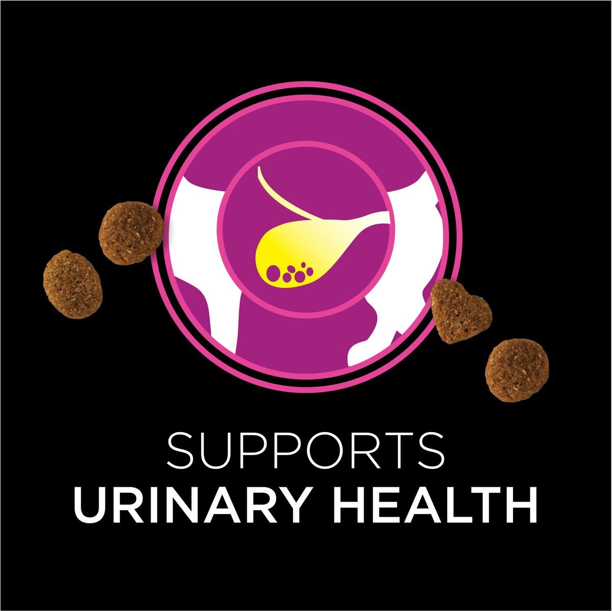 Purina Pro Plan Veterinary Diets Urinary Health Crunchy Cat Treats