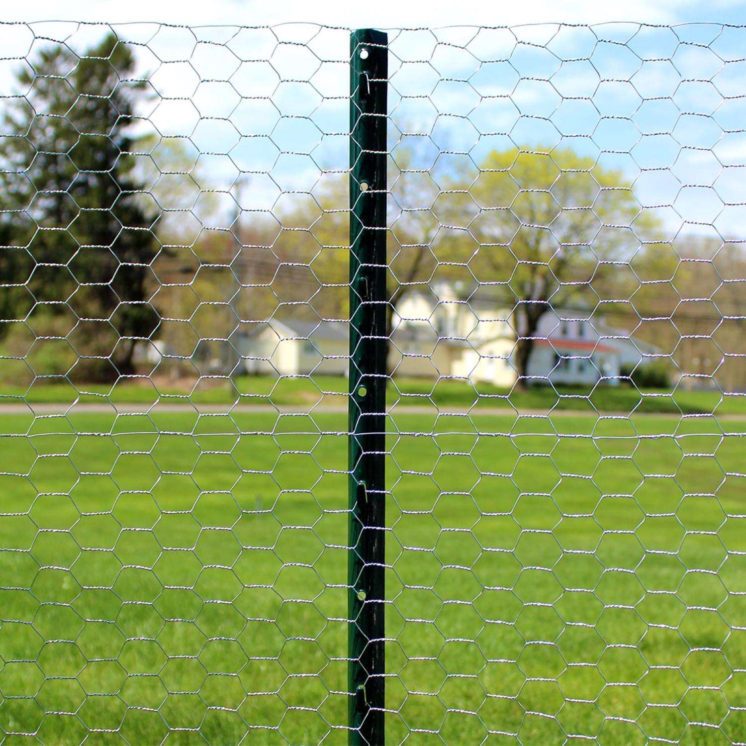 Garden Craft 18 in. H X 50 ft. L Galvanized Steel Poultry Netting 1 in.