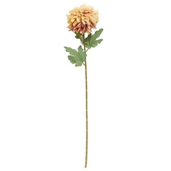 Chrysanthemum Branch 30