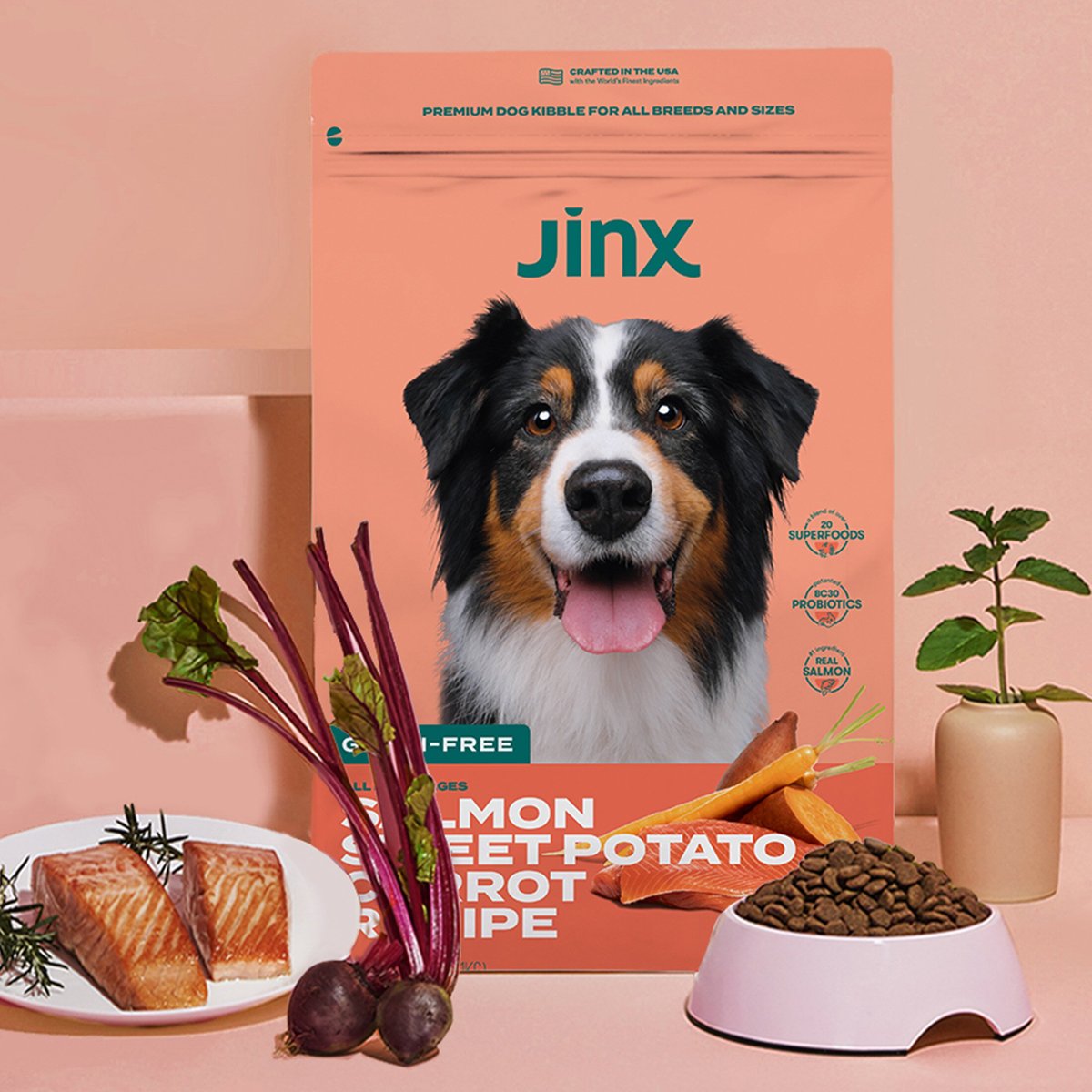 Jinx Salmon， Sweet Potato， Carrot Grain-Free Kibble Dry Dog Food， 11.5-lb bag