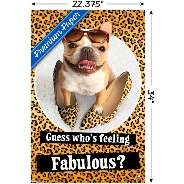 Trends International Avanti Fabulous Frenchie Unframed Wall Poster Prints