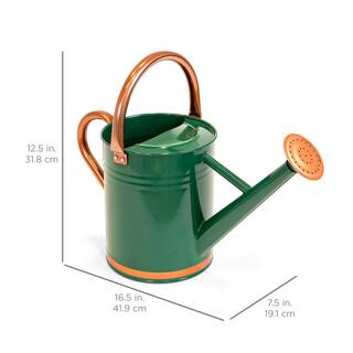 Best Choice Products 1 Gal. Watering Can SKY4191