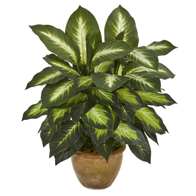 X 16 quot Artificial Dieffenbachia Plant In Ceramic Planter Nearly Natural