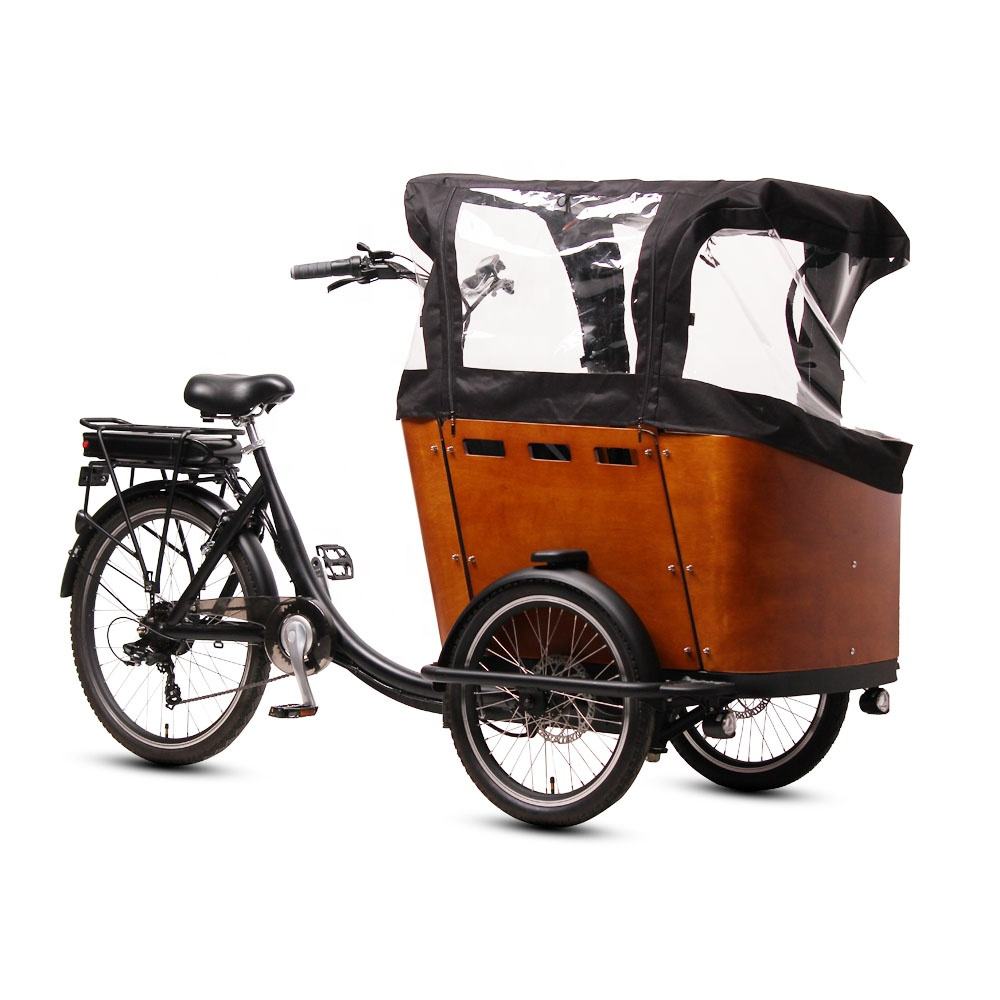 TXED 20 inch 36V/250 rear motor 3 wheel with rain cover cargo 7 speed electric bike