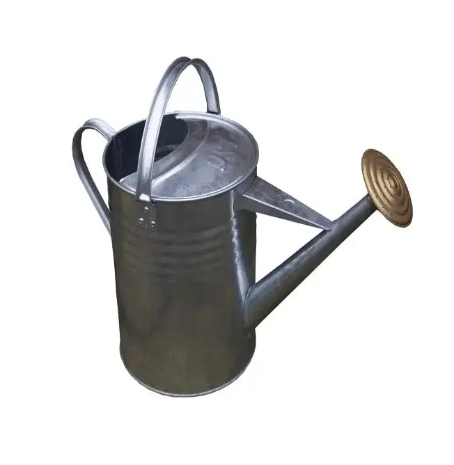 Classic Royal Green New Design Cheap Wholesale Hotel Restaurant Home Metal watering Can/Pot for Garden