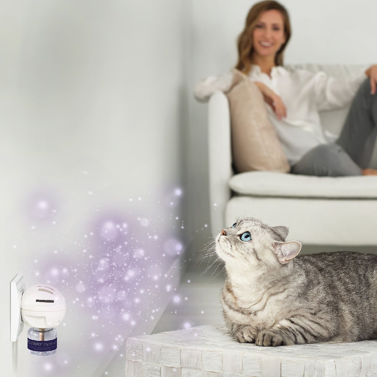 Feliway Optimum Enhanced Calming Pheromone 30 Day Cat Diffuser Refill