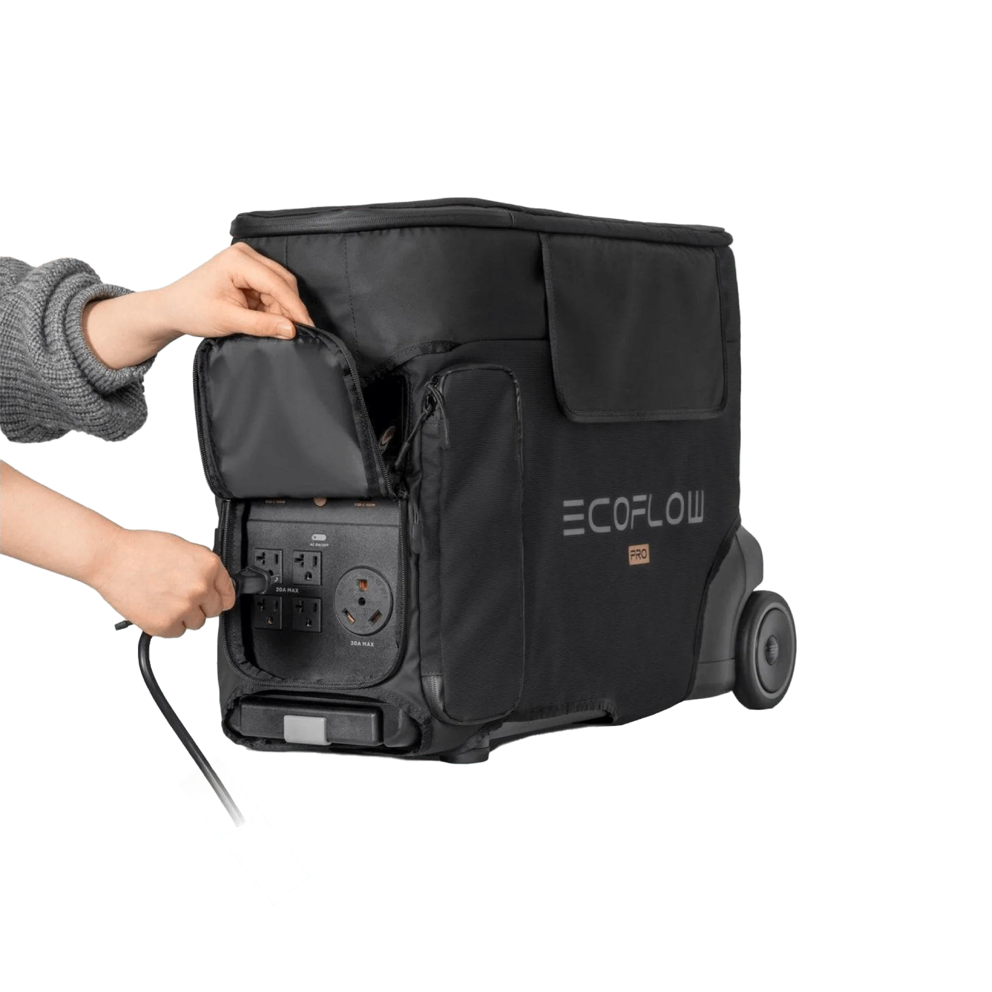 EcoFlow DELTA Pro Bag