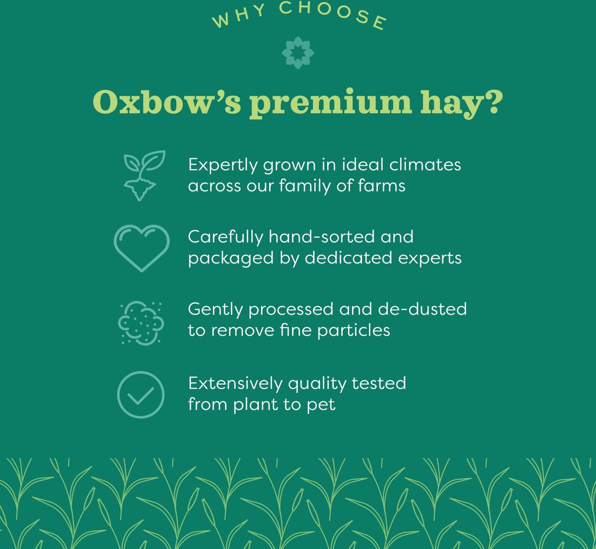 Oxbow Alfalfa Hay Small Animal Food