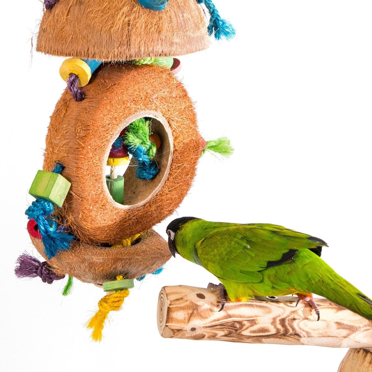 Penn-Plax Bird Life Coconut Kabob Bird Toy