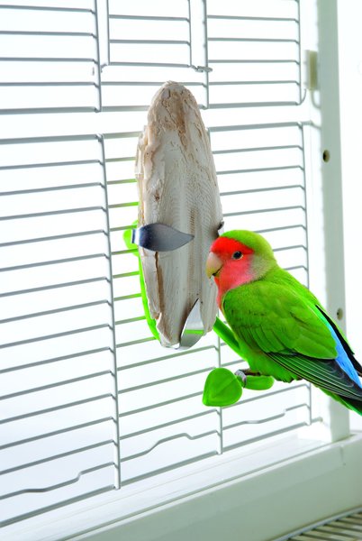 Caitec Featherland Paradise Cuttlebone Holder Bird Toy