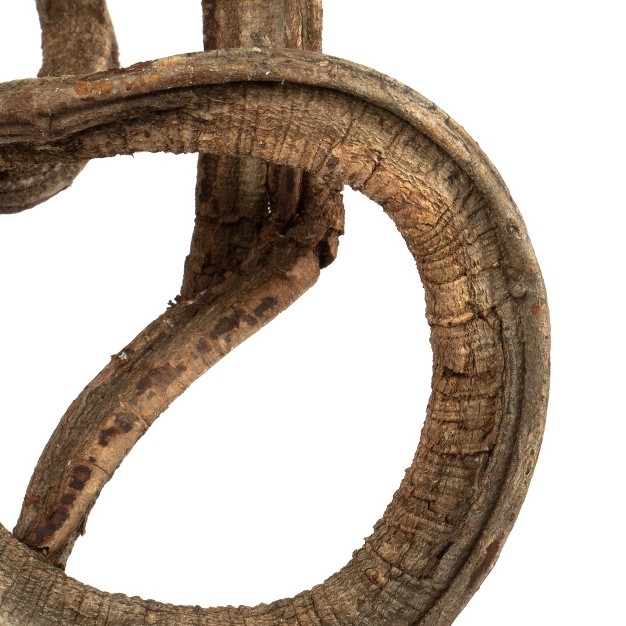 Coiled Vine Dried