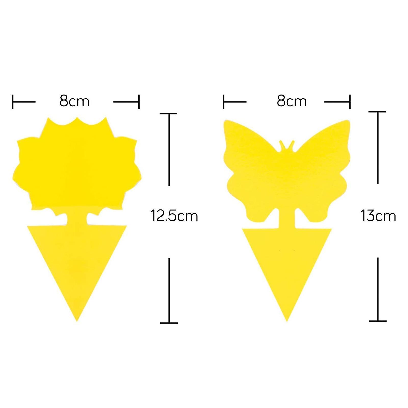 10 Pcs Fungus Gnat Traps，