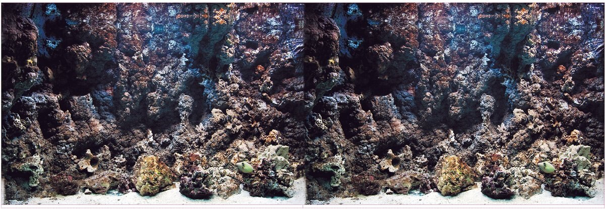 Vepotek Double-Sided Fish Aquarium Background， Deep Seabed and Coral Rock