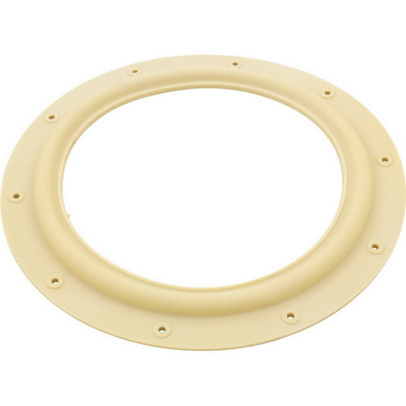 Hayward ECX1039 Gasket  Perflex EC30  Tube Sheet