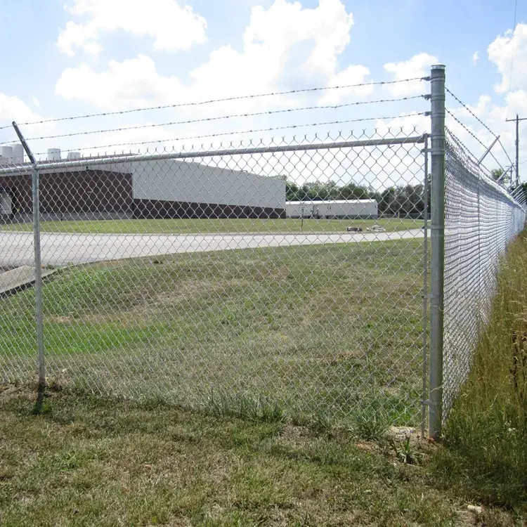 Manufacturer Supply High Quality Lowes Pice Galvanized Wire Chain Link Fence