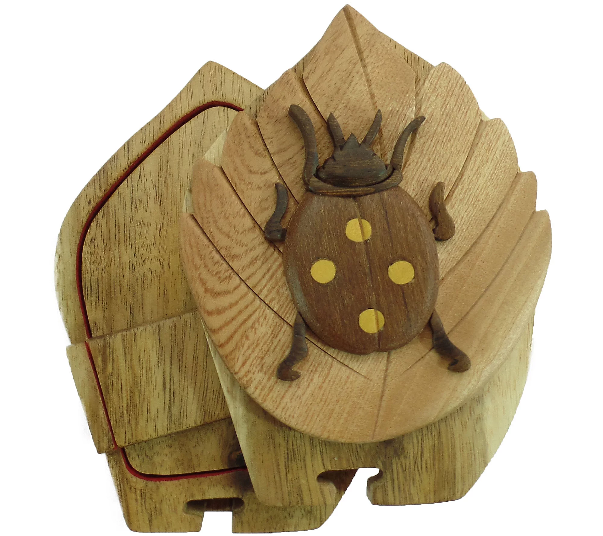 Carver Dan's Beetle Puzzle Box with Magnet Closures