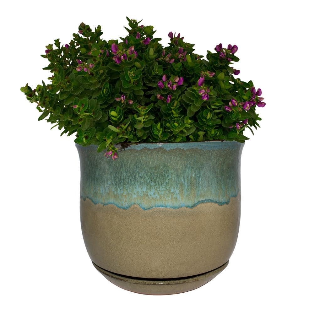 Trendspot 12 in. Dia Multi-Color Bella Ceramic Planter CR11183S-120B