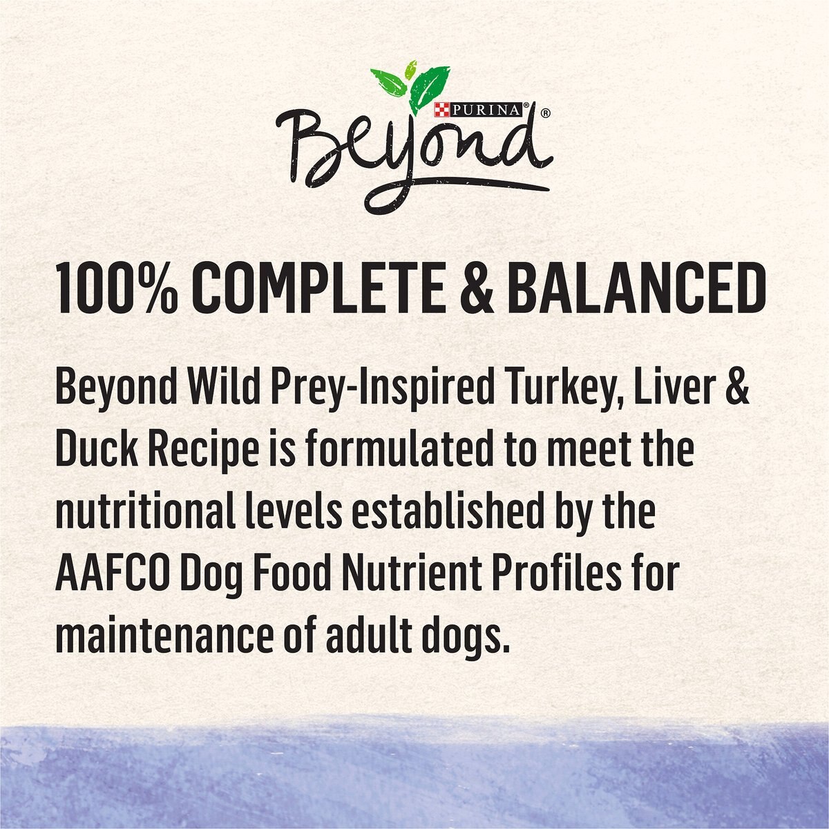 Purina Beyond Wild Prey-Inspired Turkey， Liver and Duck Recipe Canned Dog Food