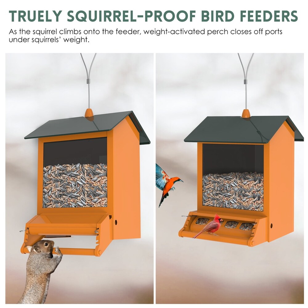 Squirrel proof outdoor wild bird feeder