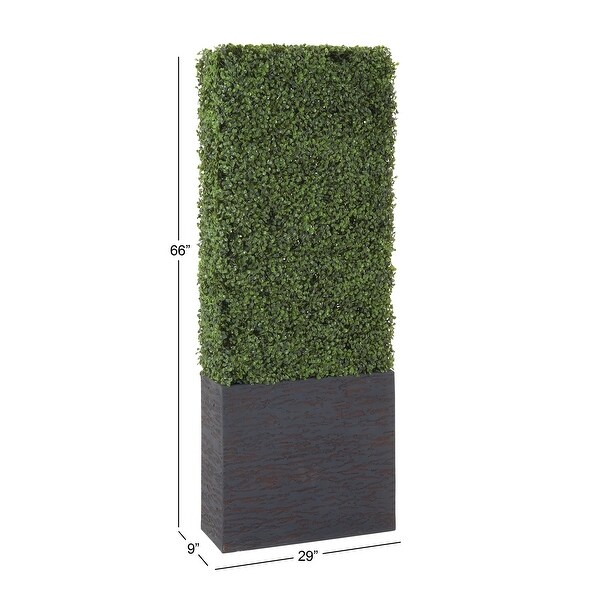 Exclusive and Utmost Beautiful Boxwood Hedge