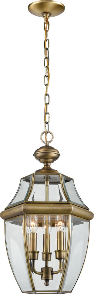 Three Light Oil Rubbed Bronze Clear Beveled Glass Hanging Lantern   Traditional   Outdoor Hanging Lights   by HedgeApple  Houzz