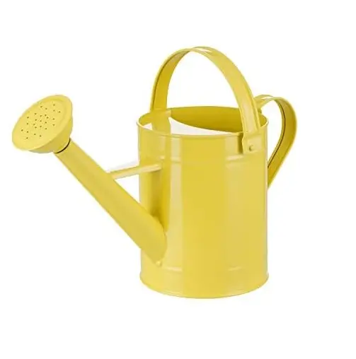 Modern Design Water Can Best Quality Iron Metal New Design Custom Shape Watering Can For Home Garden Daily Usage