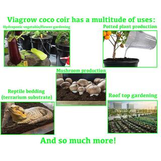 Viagrow 11 lbs. (5 kg) Coconut Coir Block 100% Organic Coco Coir VCB5