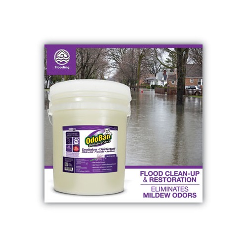 Odoban Concentrated Odor Eliminator and Disinfectant  ODO9111625G