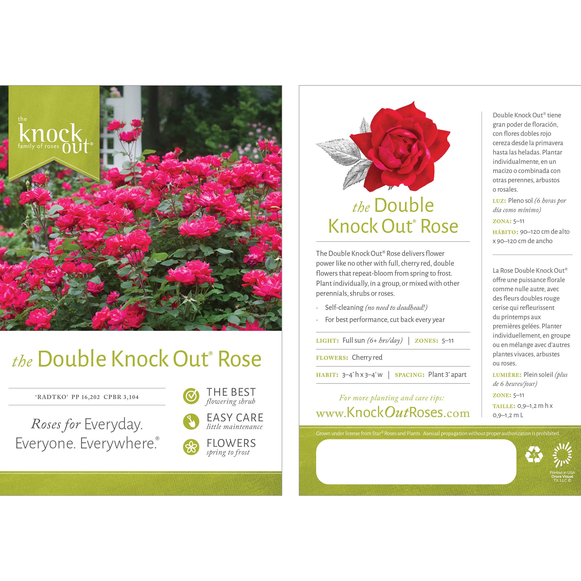 The Red Double Knock Out® Rose Live Shrubs with Vibrant Cherry Red Blooms (1 Gallon)