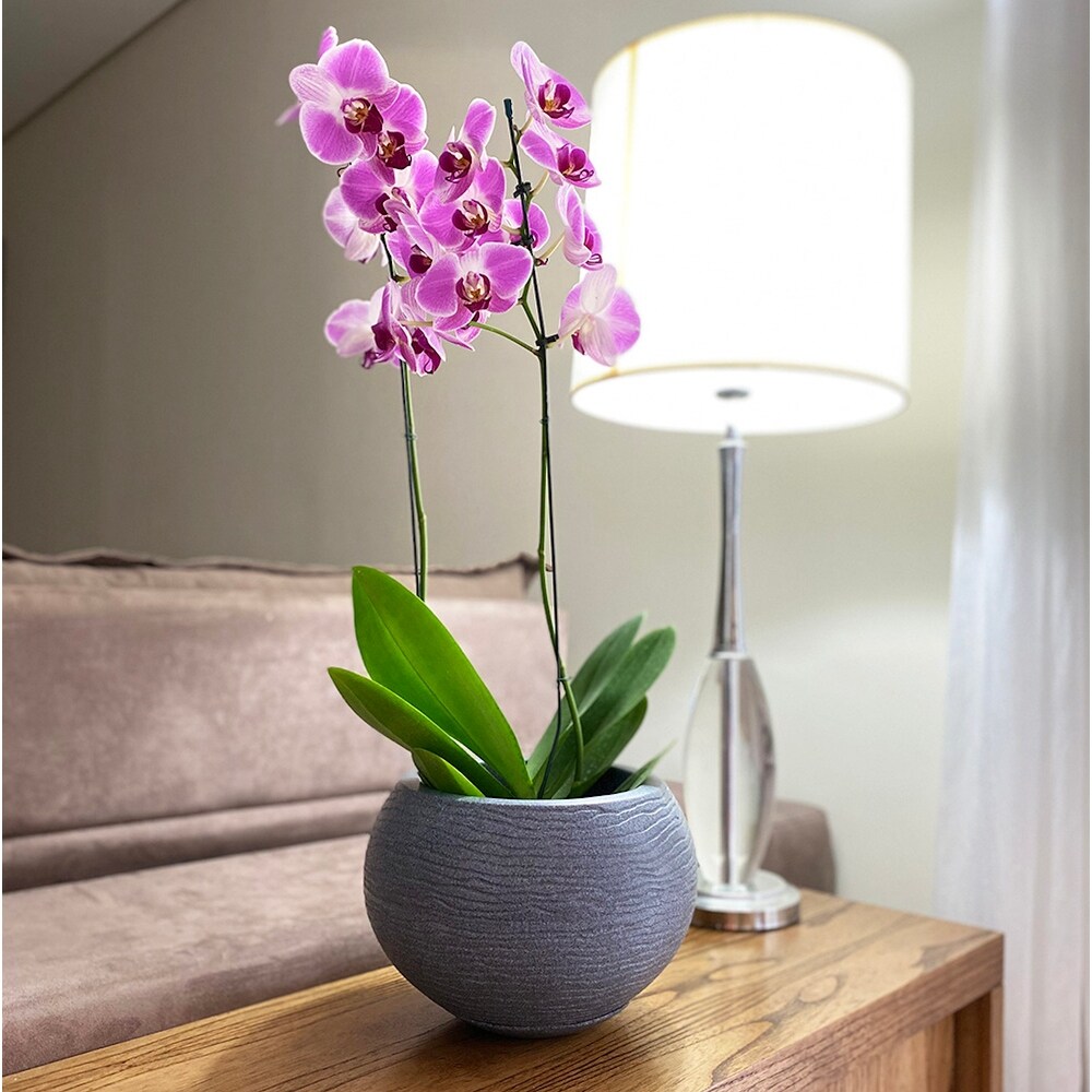Floridis Florence Planter
