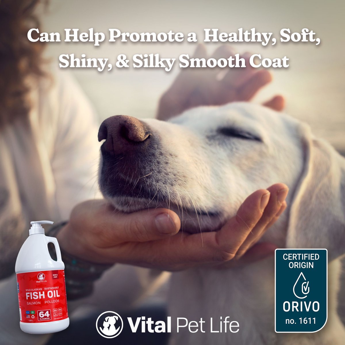 Vital Pet Life Wild Alaskan Fish Oil Skin and Coat Health Liquid Cat and Dog Supplement， 64-oz bottle