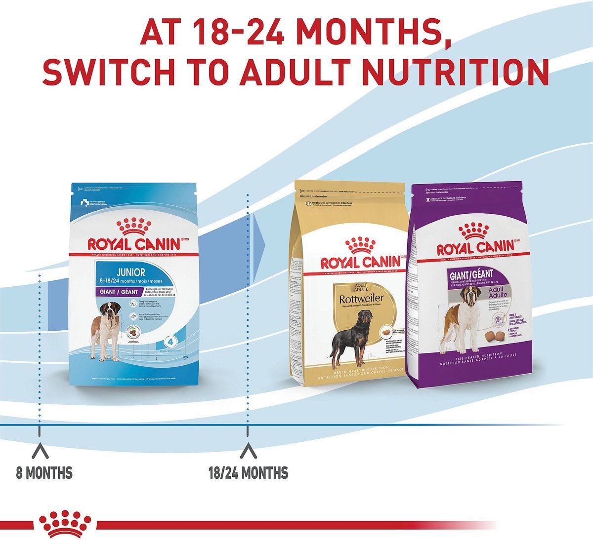 Royal Canin Size Health Nutrition Giant Junior Dry Dog Food