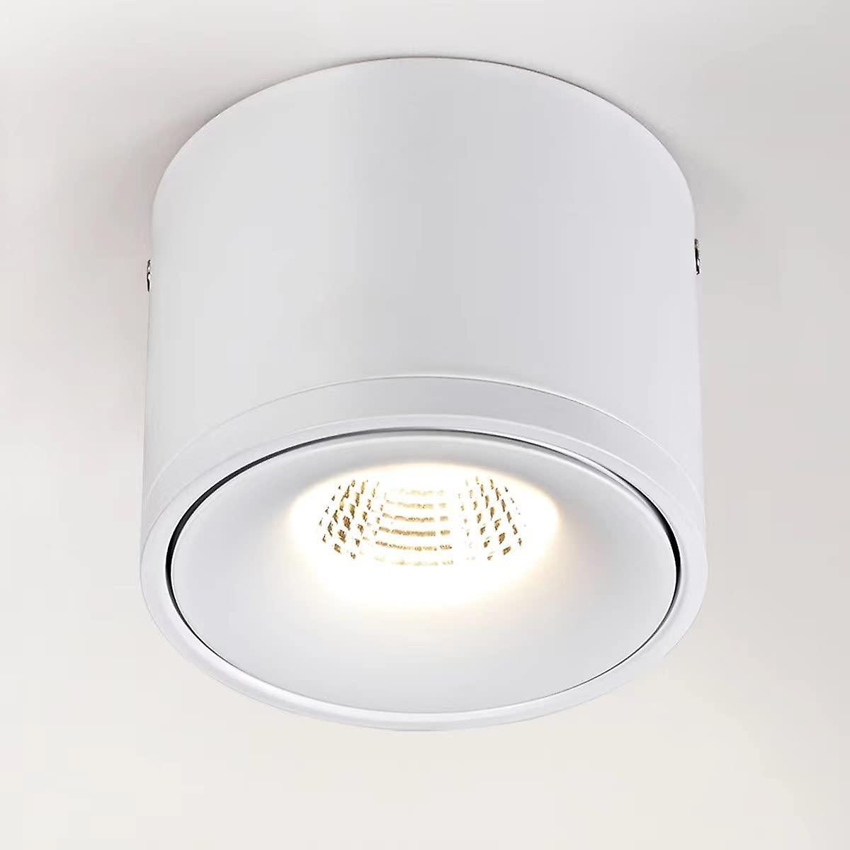 15W Ceiling Spotlight LED Downlight，Adjustable Lamp Body Angle， Indoor Ceiling Light，IP20，11X8.4cm，A