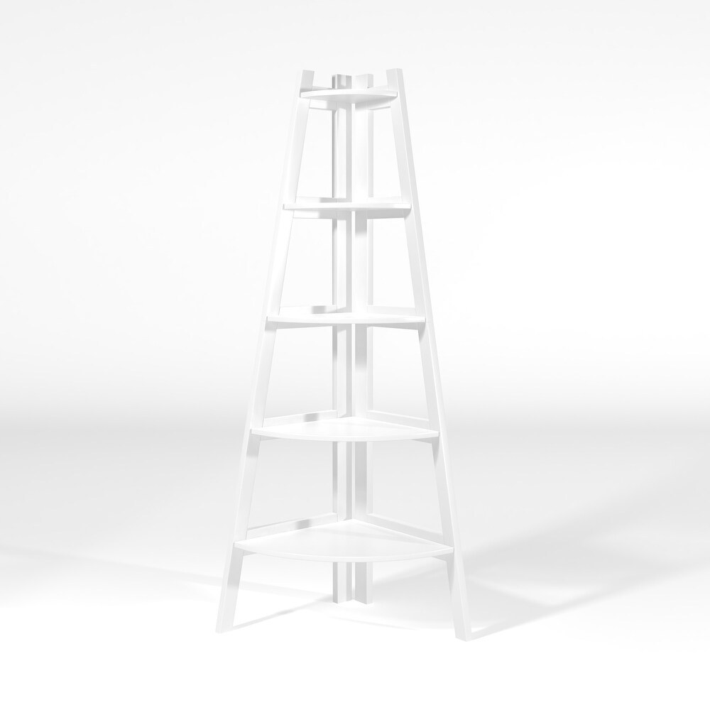 Kiki Transitional 5 Tier Corner Ladder Display Bookshelf by Furniture of America