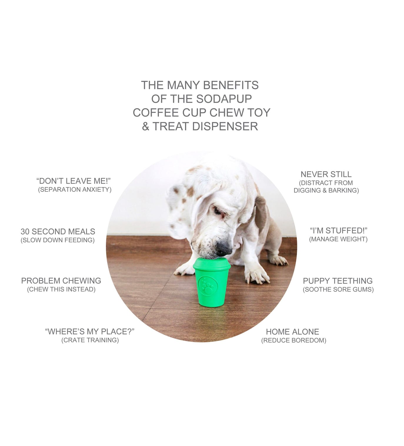 Sodapup Coffee Cup Chew Toy for Dogs