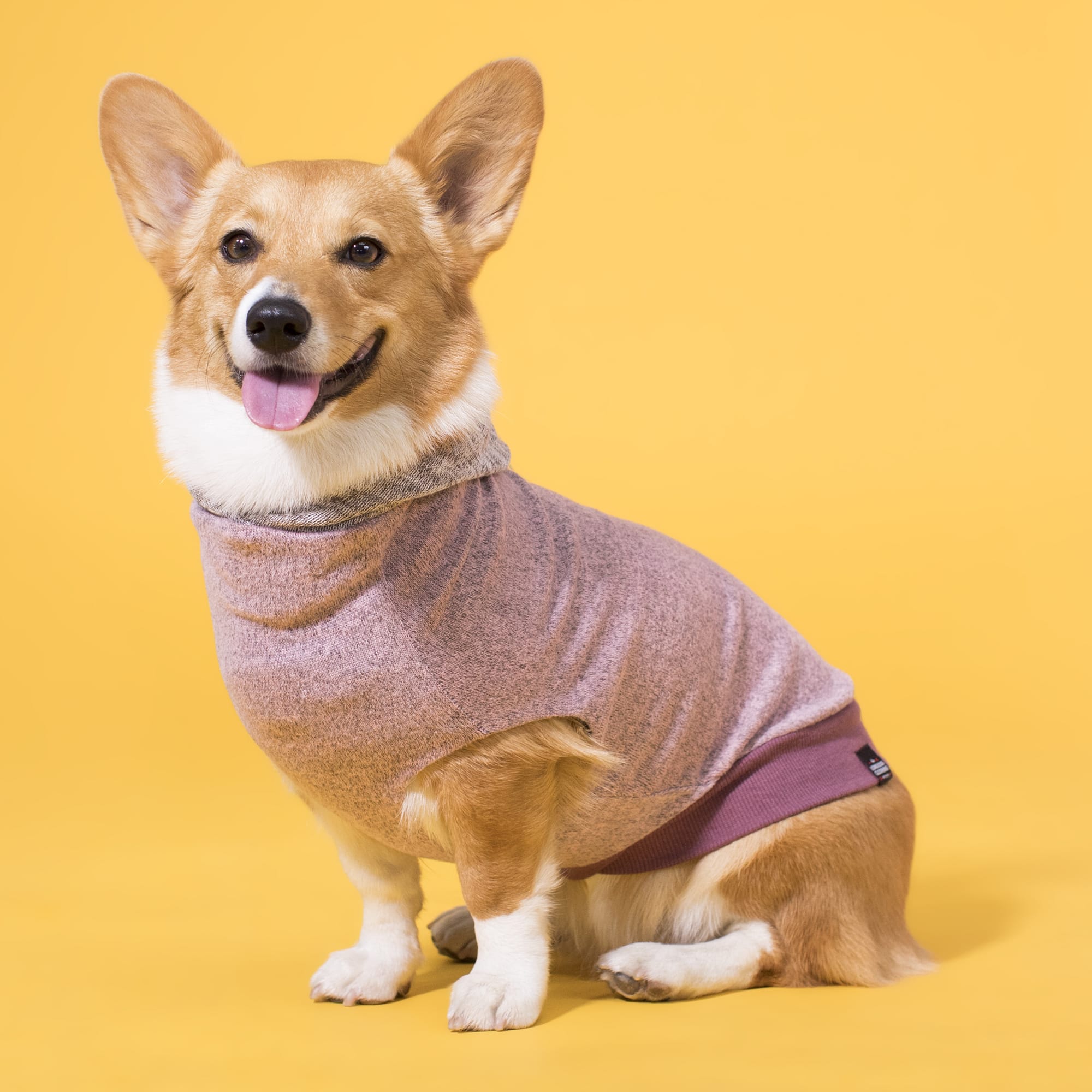 LONG DOG CLOTHING CO. The Midge Dog Reversible Sweater， X-Large