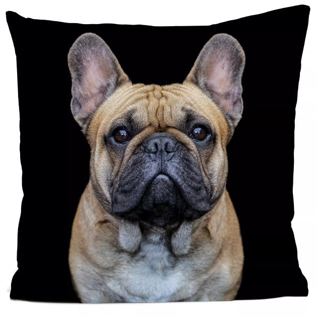 Bouledogue Cushion 40x40cm