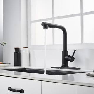 FORIOUS Single-Handle Kitchen Sink Faucet with Pull Down Sprayer Kitchen Faucet in Black HH0025B