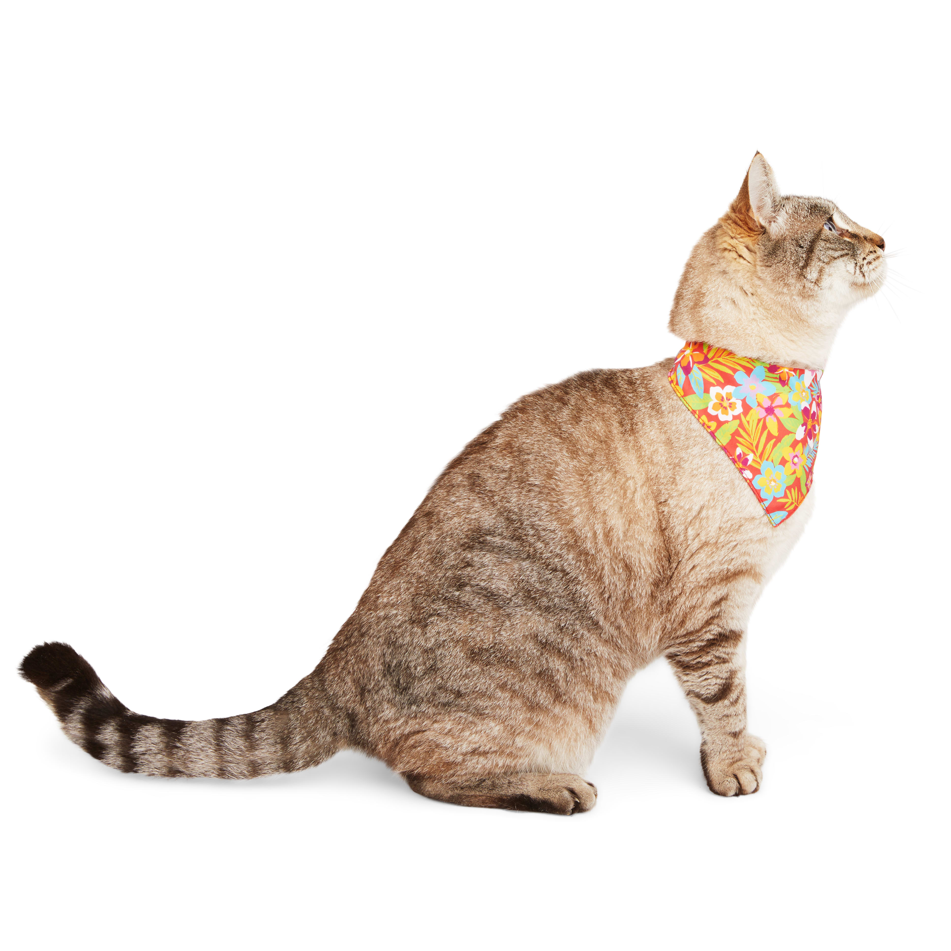 YOULY Cat Tropic Floral Bandana， Small/Medium