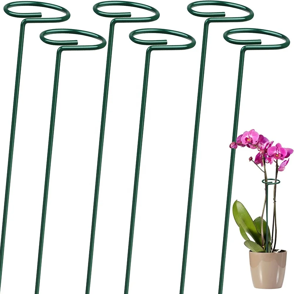 6 Pack Plant Stakes for Flowers Metal Single Stem Plant Support Garden Plant Stakes for Amaryllis Orchid Lily Rose Tomatoe