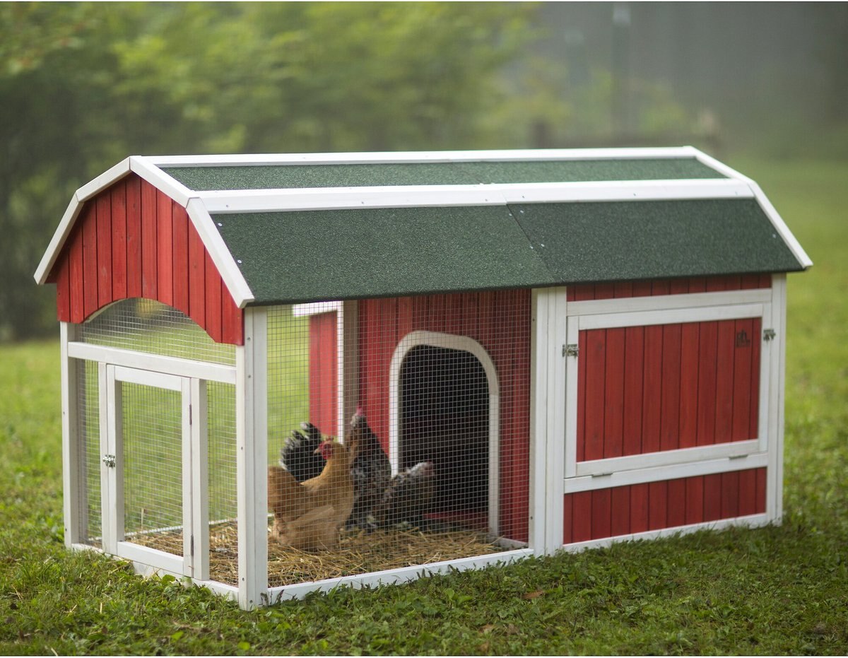 Prevue Pet Products Chicken Coop