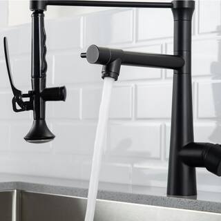 Boyel Living Single-Handle Gooseneck Pull-Down Sprayer Kitchen Faucet with Pot Filler and Water Supply Lines in Matte Black BM2010B