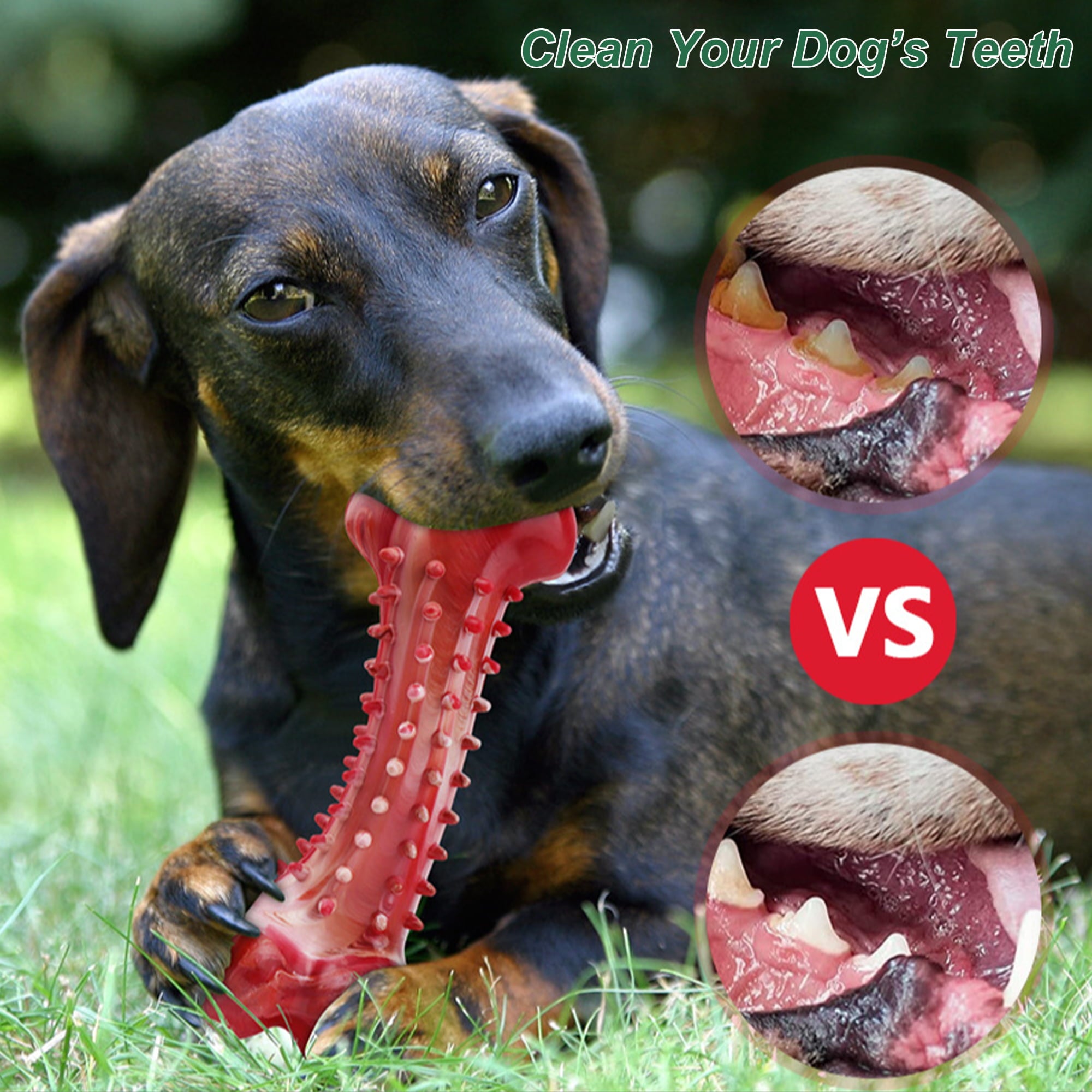 Pet Deluxe Dog Chew Toys for Aggressive Chewers Large Breed，Durable Dog Bones Interactive Dog Toys， Indestructible Tough Natural Rubber Dog Chew Toys for Medium Dog Teeth Cleaning